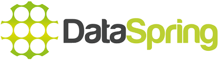 logo DataSpring
