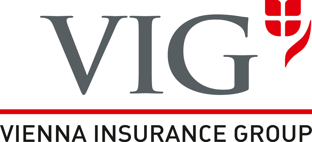 logo VIG